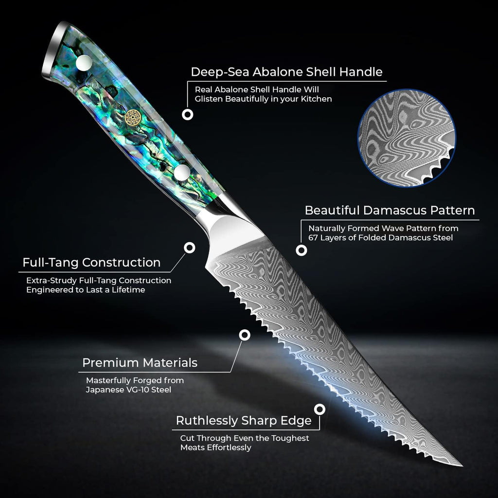 11-Piece Damascus Knife Block Set with Abalone Shell Handle Japanese VG10 Steel Chef Knife V34408