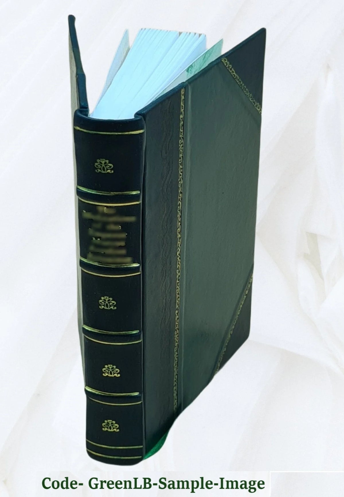 Leather Bound Book R1525