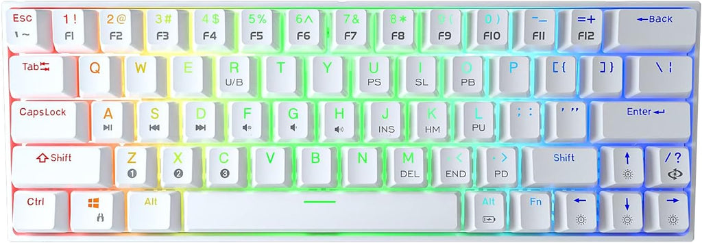 Wireless Wired 60% Mechanical Keyboard with Arrow Keys, True RGB Backlit E283