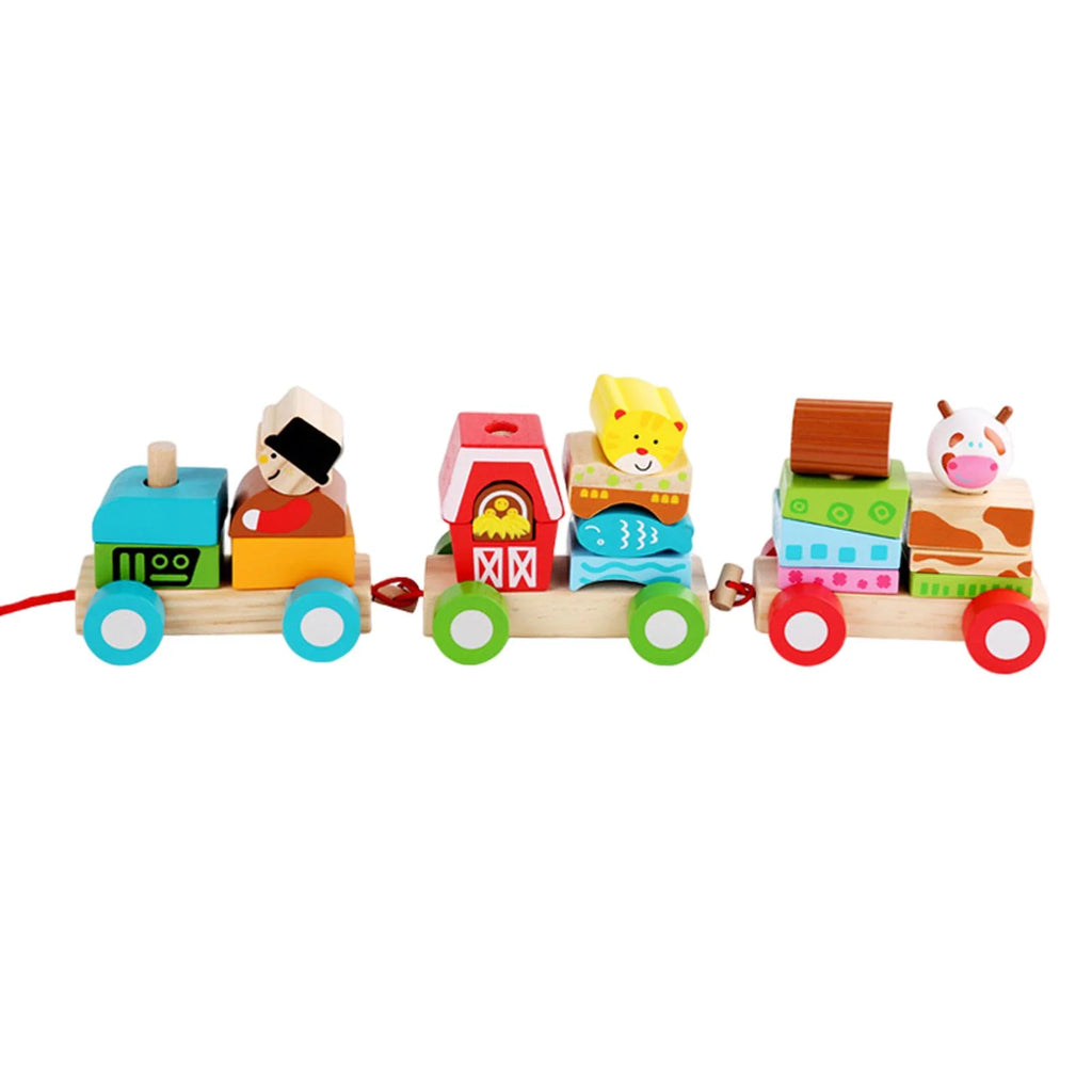 Stacking Train Toy Wooden Train Set D4658