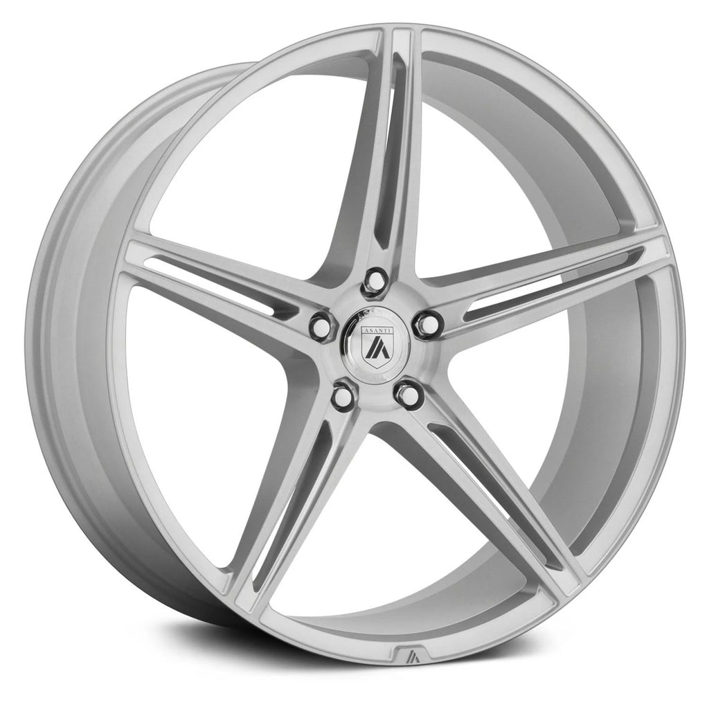 20x10.5 5x120.00 Brushed Silver Wheel D196