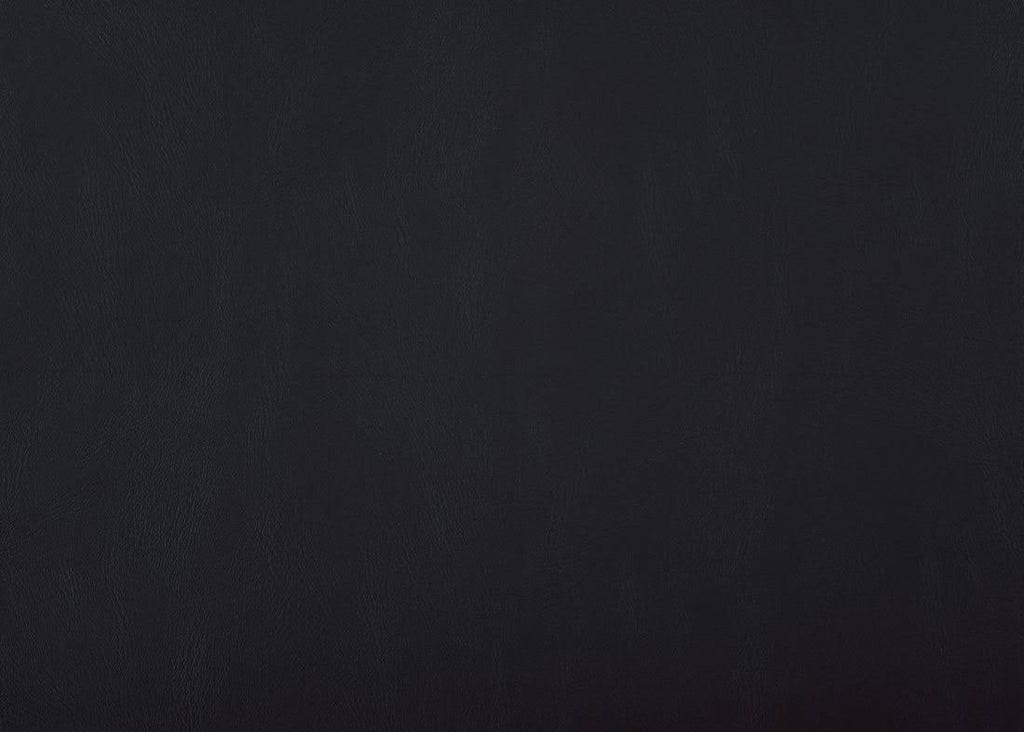 Black Bench O47685
