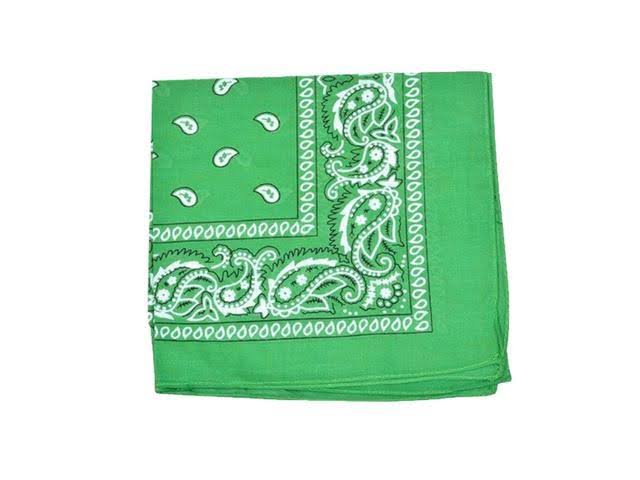 240 Pack 100% Cotton Double Sided Paisley Bandanas Q534