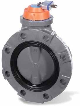 Butterfly Valve Cap with 316SS Lock Tab V1102