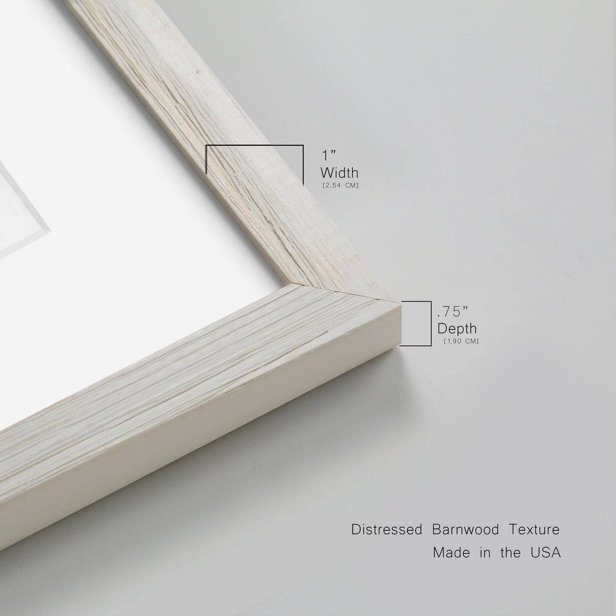 Framed Print 17X20 White E84152