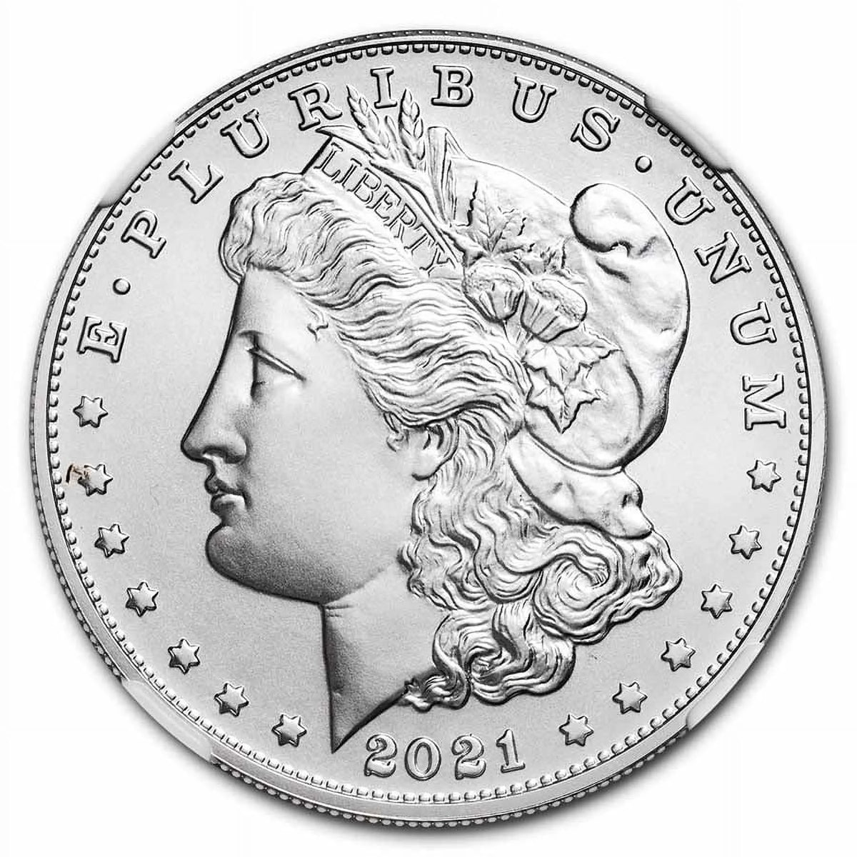 Silver Morgan Dollar MS-70 NGC E29595
