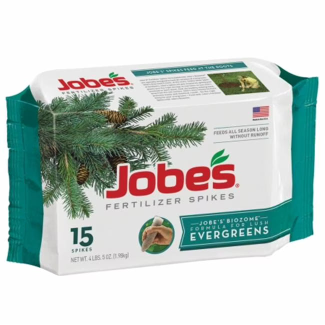 15pk Evergreen Spikes Z4220