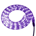 120 Volt LED Rope Light B610