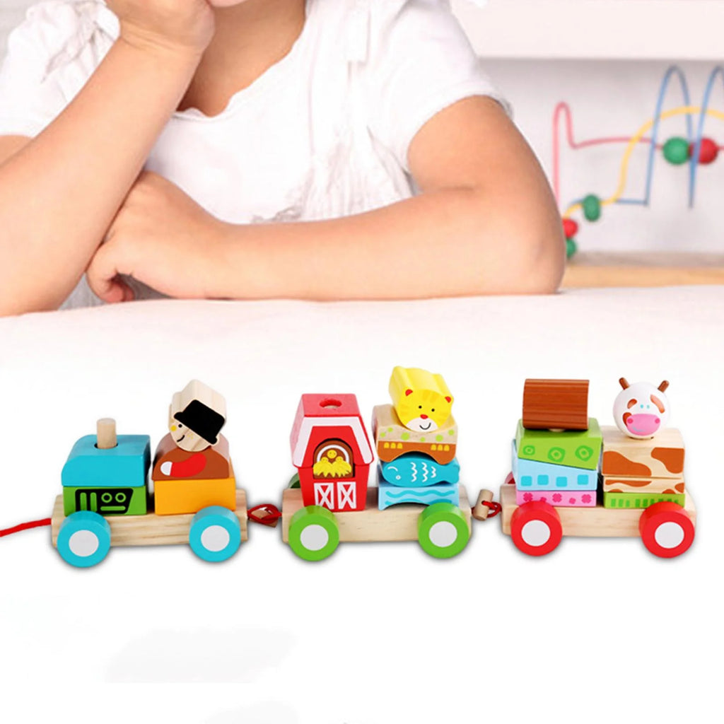 Stacking Train Toy Wooden Train Set D4658