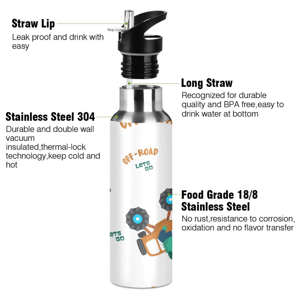 Stainless Steel Insulated Water Bottle with Straw Lid D844