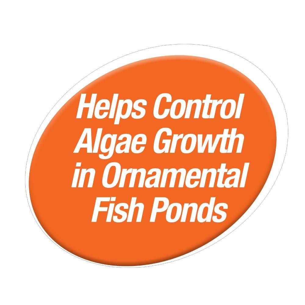 Pond Block 50 Blocks Algae Control X631347