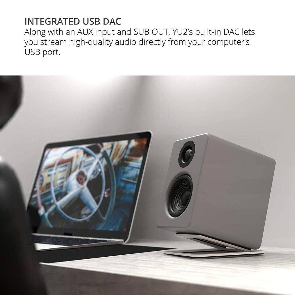 Matte Gray Powered Desktop Speakers V4409