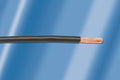 Hook-Up Wire 1000 ft D3119