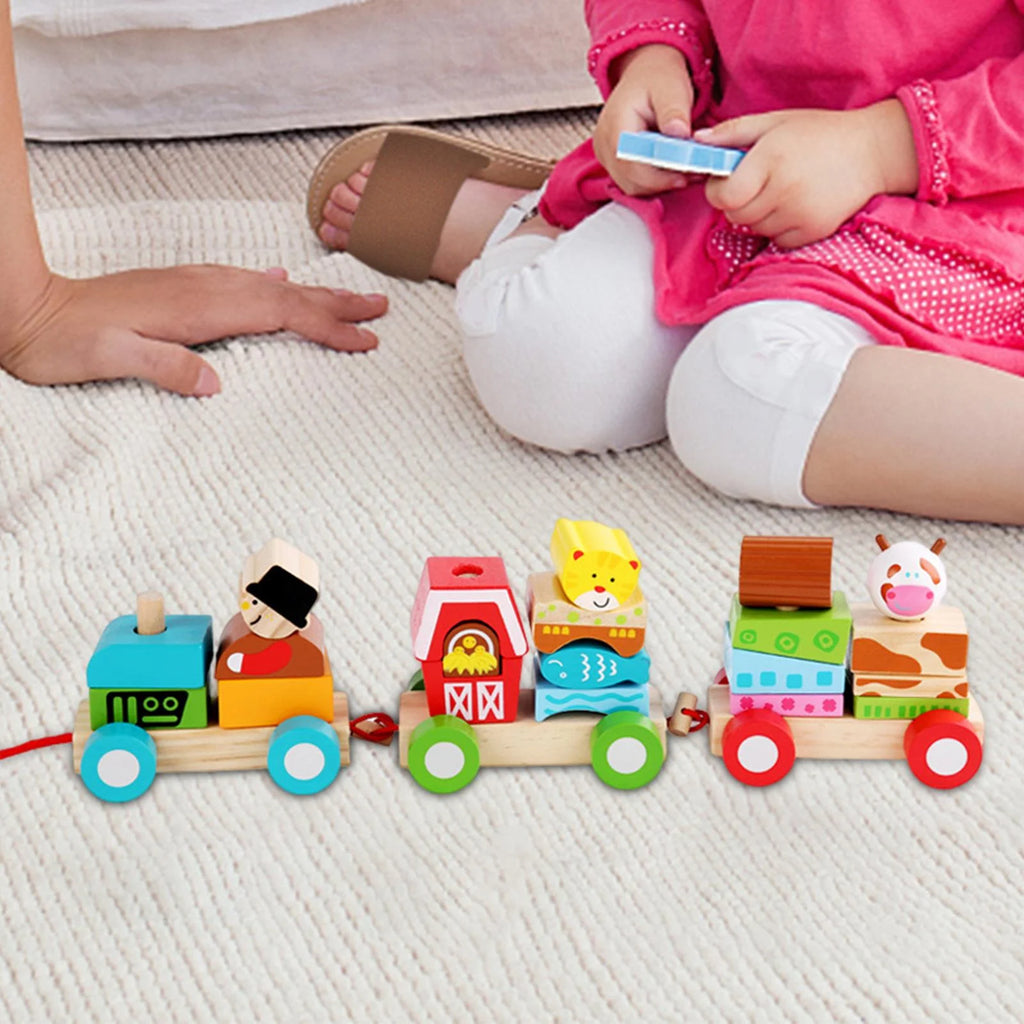 Stacking Train Toy Wooden Train Set D4658