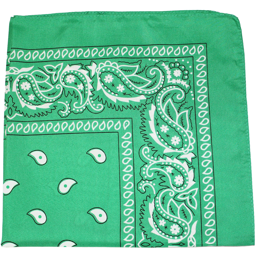 240 Pack 100% Cotton Double Sided Paisley Bandanas Q534