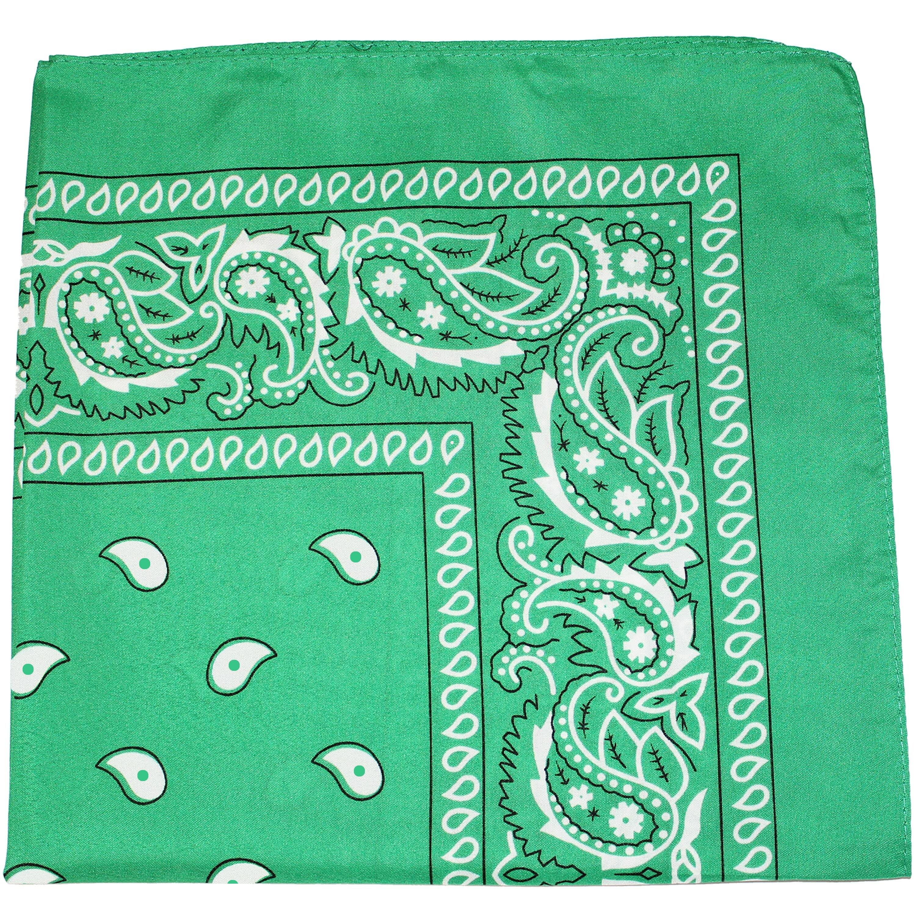 240 Pack 100% Cotton Double Sided Paisley Bandanas Q534