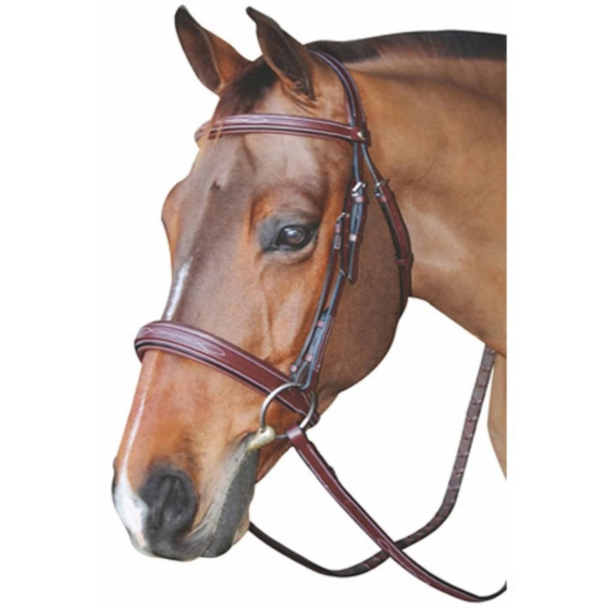 Mono Crown Bridle with Padded Wide Noseband O650236