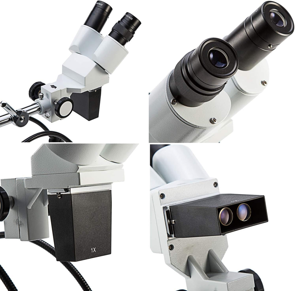 Professional Dissecting Binocular Stereo Microscope, WF10x WF20x Eyepieces, 10X 20X Magnification, 1X Objective, LED Lighting, Boom-Arm Stand K453948