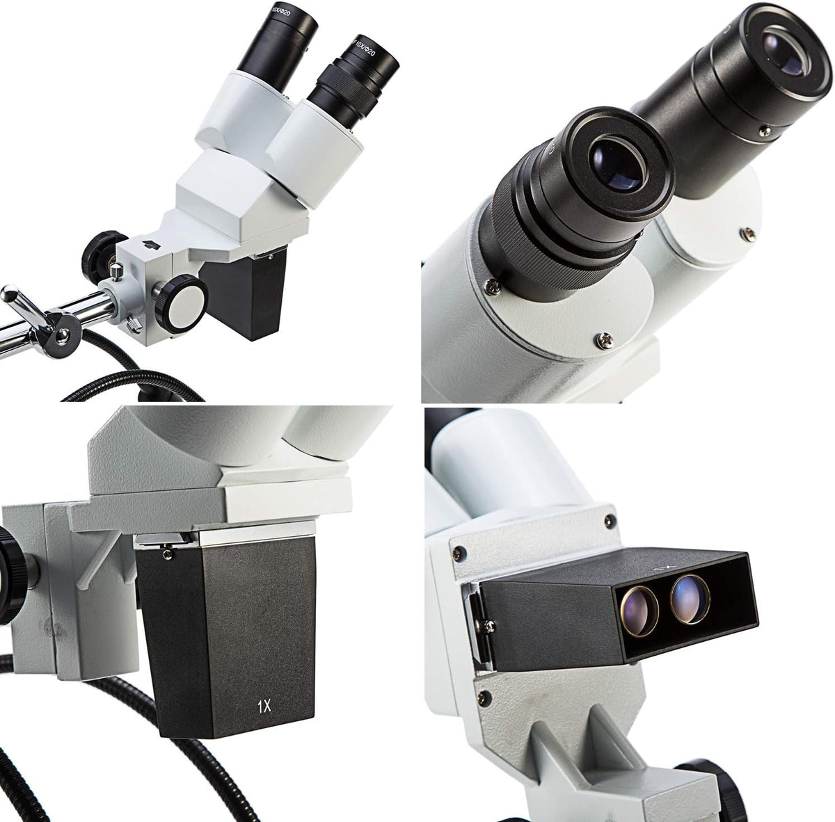 Professional Dissecting Binocular Stereo Microscope, WF10x WF20x Eyepieces, 10X 20X Magnification, 1X Objective, LED Lighting, Boom-Arm Stand K453948