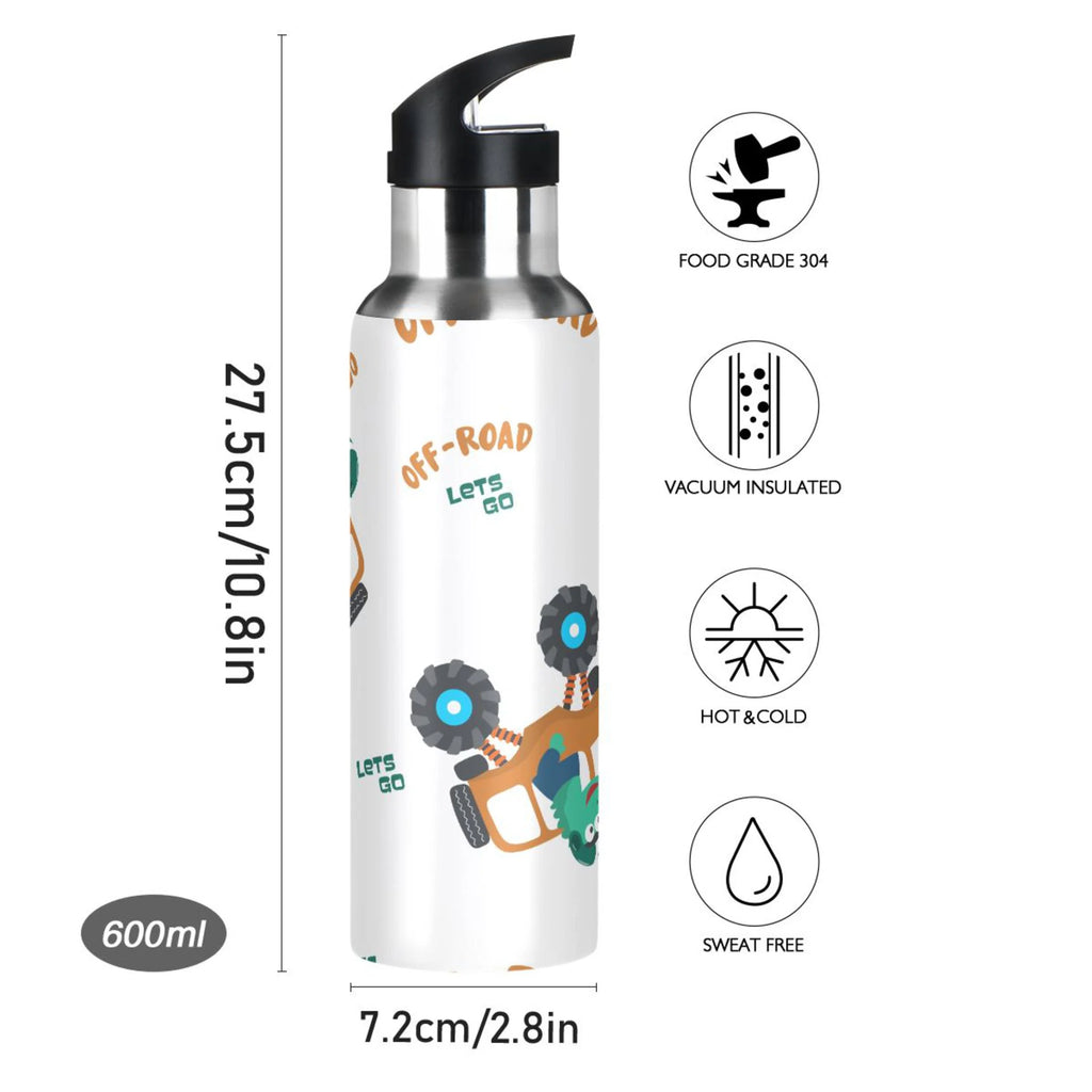 Stainless Steel Insulated Water Bottle with Straw Lid D844