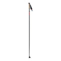 Green Red Black Ski Poles (Pair) M7572