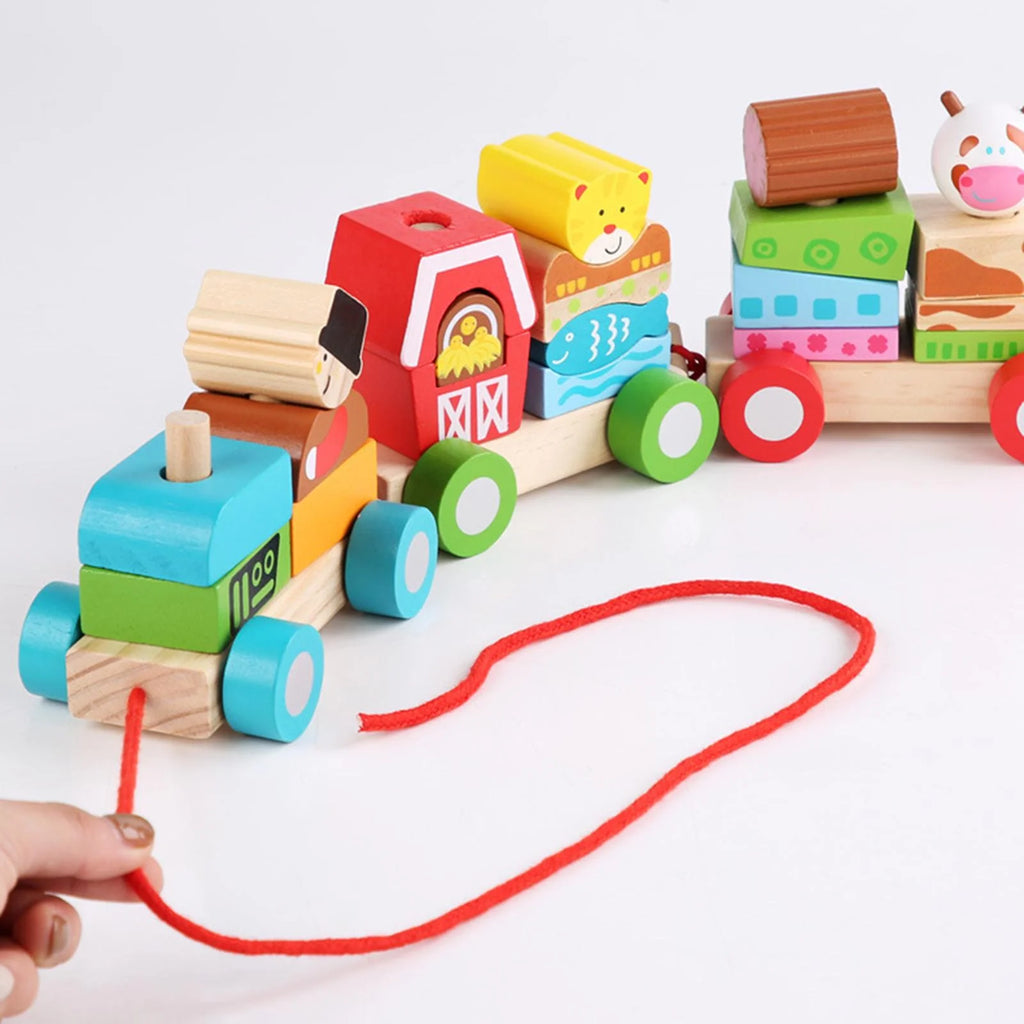 Stacking Train Toy Wooden Train Set D4658