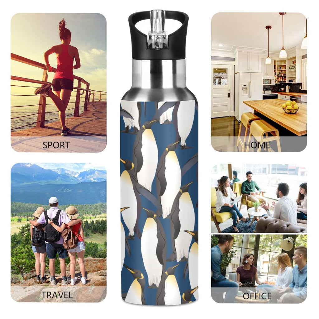Stainless Steel Insulated Water Bottle with Straw Lid I832